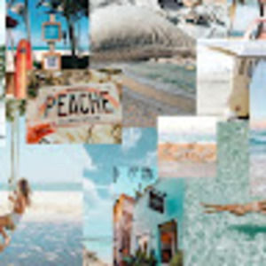 Meet your Posher, Abbigail